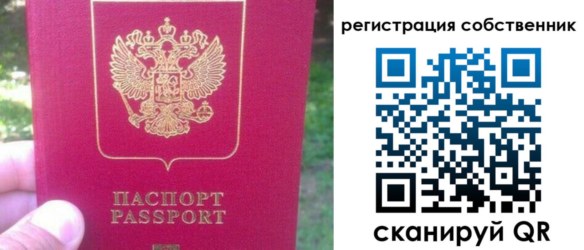 временная регистрация 2025 в Александровске-Сахалинском